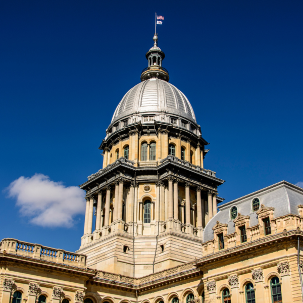 Federal Tax Credit Scholarship Program: Should Illinois opt in or opt out? Here is what the critics say